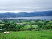 ireland travel to Carlingford Lough Mourne mountains Ireland