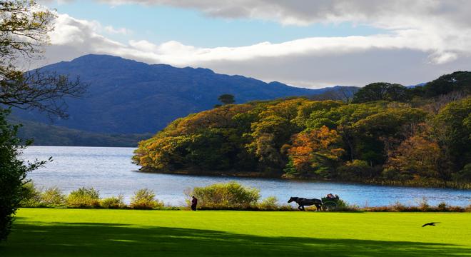 5 day bus tours of ireland