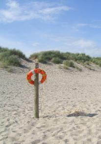 beach4.jpg