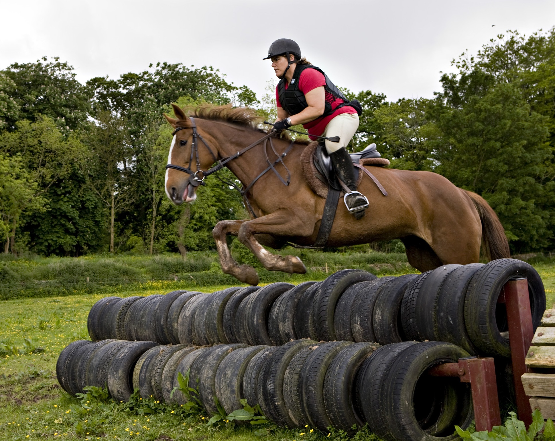 xc_adults_img_0469.jpg