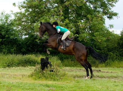xc_teensimg_0131.jpg