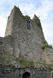 ormond-castle-carrick-on-su.jpg
