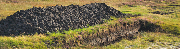 header-turf-drying.jpg