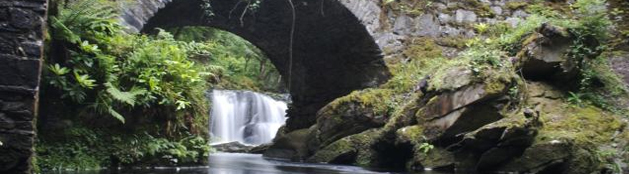 header-torc-falls.jpg