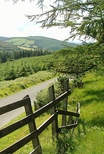 slieve-bloom.jpg