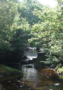 wier.jpg