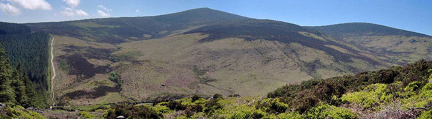header-djouce-mtn.jpg