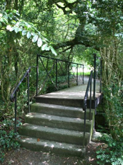 Birr Castle Gardens