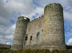 carlow-castle vacation