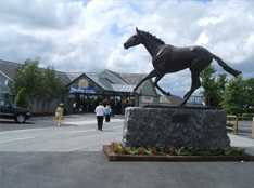 the-curragh.jpg