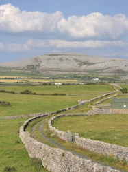 The Burren