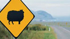 self drive Ireland vacations