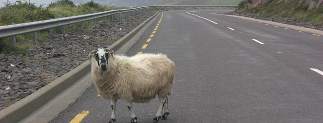 Driving In Ireland