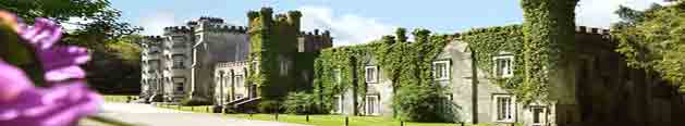 Ballyseede castle